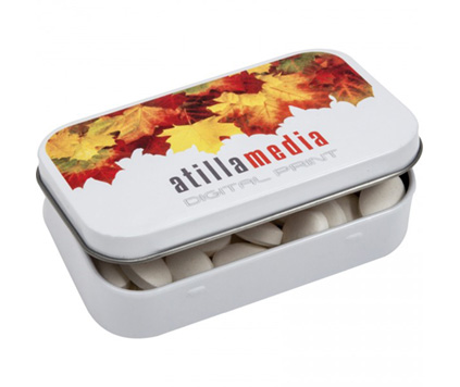 Mintdosa Box