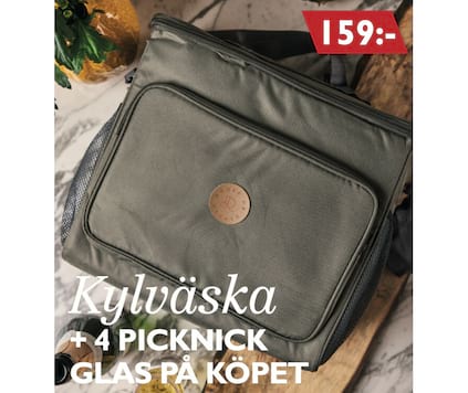 Kylväska + 4 picknickglas